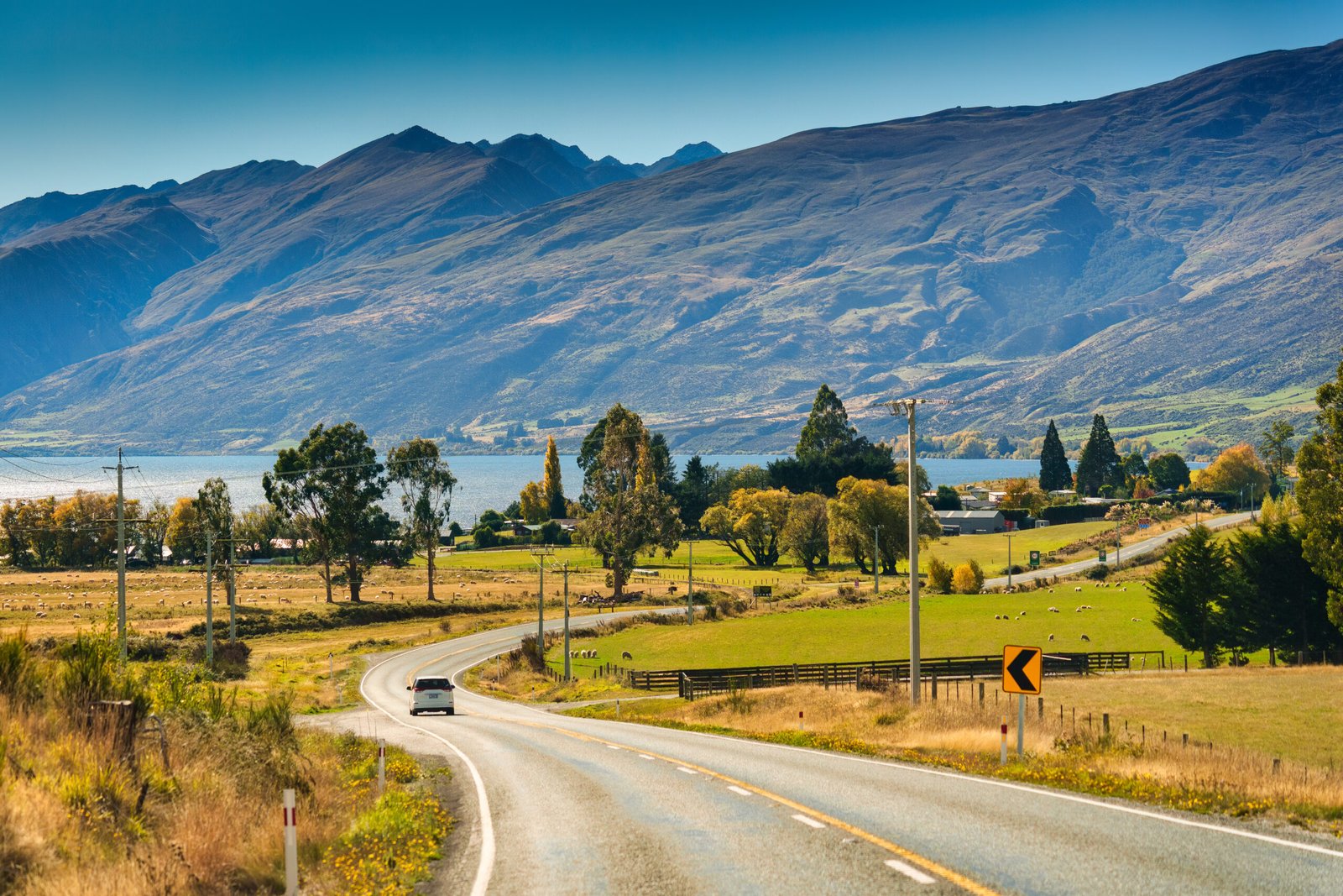 Car Rental Auckland